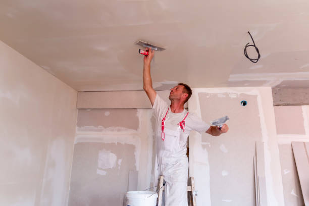 Best Ceiling Drywall Installation  in Hasbrouck Heights, NJ